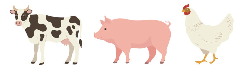 Flat color cow, pig and chicken, side view. Illustration on a transparent background