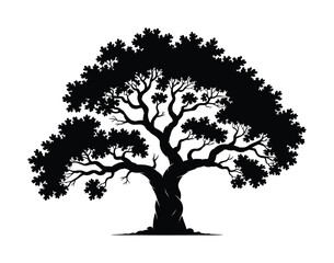Fototapeta premium Vector silhouette of a large tree with sprawling branches and leaves on a white background