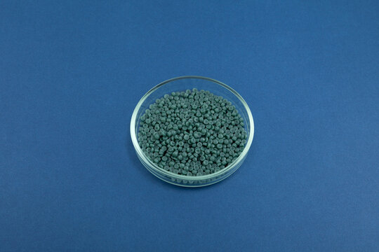 Secondary polypropylene granules or Recycled granules in Petri dish on blue background. Post-Production Recycled PP (PIR PP)