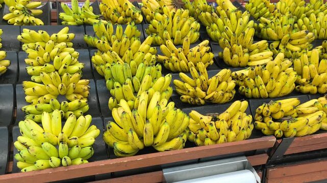Rows of ripe yellow bananas are displayed in a bright supermarket aisle. The fruit is ready to eat and arranged openly. Customers can easily select their preferred bunches.
