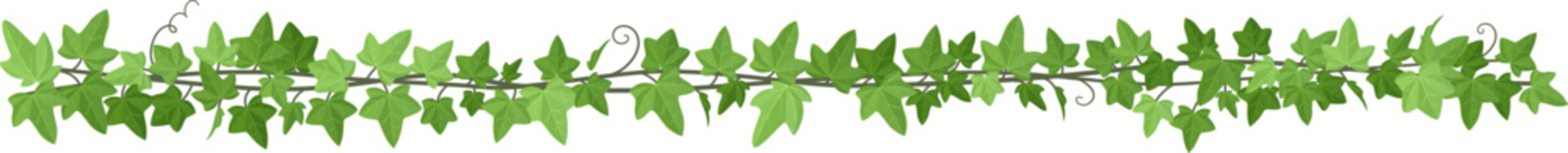 Long creeper border. Horizontal jungle plant vine © ssstocker