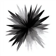 Obraz premium Dynamic Black and White Starburst Design