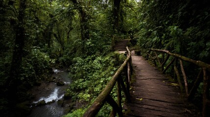 Fototapeta premium Wooden bridge over rainforest stream leading to ancient ruins, lush jungle trees, cascading water and moss covered path creating a serene yet adventurous forest landscape full of mystery exploration