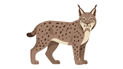 Spotted Lynx Wild Cat Vector Illustration Isolated on White Background © Sandi