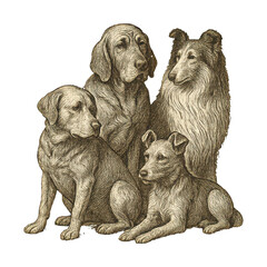 Obraz premium PNG Vintage illustration of four dogs.