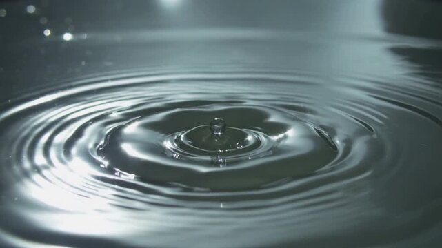 Falling droplet causing upward column and rebounding droplet on shallow basin, with ripples