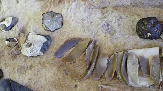 Stone Age tools, such as stone tools, hand axes, wedge knives