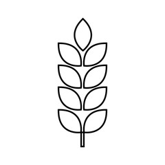 Obraz premium Wheat icon vector. Cereals illustration sign. Harvest symbol. Farm logo.