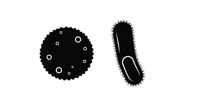 Black and white illustration of two different bacterial cell shapes