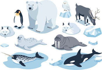 Arctic wildlife illustration featuring polar bears, penguins, and whales in icy landscape from aerial viewpoint © Chico Store