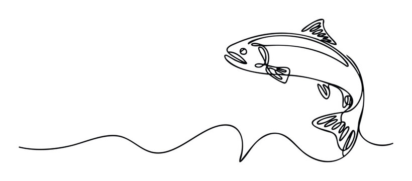 Continuous line drawing of a jumping salmon or trout above a wavy water line, perfect for seafood packaging, fishing sport emblems, or aquatic wildlife conservation graphics