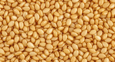 Fototapeta premium Golden Raw Sesame Seeds Full Frame Texture Background