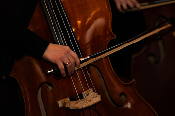 Professional Musician Playing Double Bass with Bow During Concert Performance © Ruslan