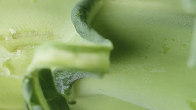 Broccoli vegetable extreme macro close up with a rotating camera motion stock footage