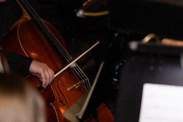 Professional Musician Playing Double Bass with Bow During Concert Performance © Ruslan