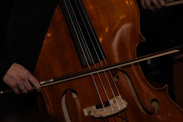 Professional Musician Playing Double Bass with Bow During Concert Performance © Ruslan