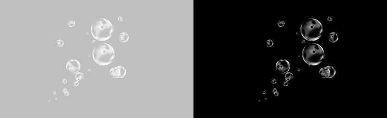 Delicate floating soap bubbles isolated on transparent background, clear glossy spheres drifting upward with soft surface reflections, light playful decorative overlay PNG © Pixora