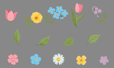 Collection of Assorted Flowers and Leaves floral