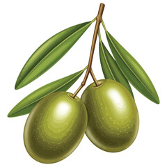 Two Green Olives on a Branch with Leaves olive branch