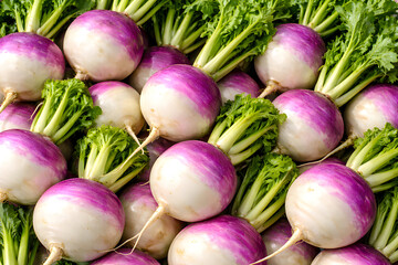 Fresh Vibrant Turnips with Greens Full Frame Background