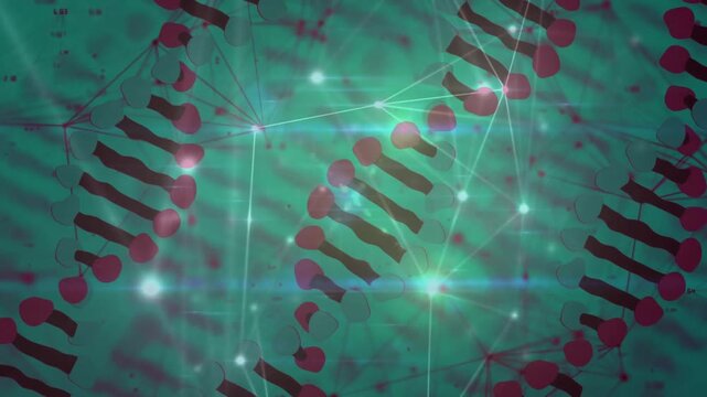 Glowing network shifting while maroon bands sliding from top-right forming data visual for creators