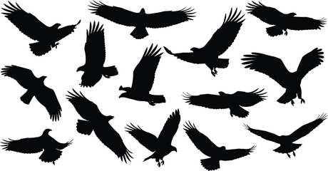 Obraz premium Bird, silhouettes, flying, collection, isolated, white, background, black, birds, wings, spread, flight, nature, wildlife, illustration, vector, set, animal, design, freedom