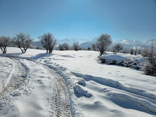 Obraz premium Snow-covered winter landscape with frosty trees, clear blue sky, and vehicle tracks leading through the serene, untouched snowy terrain. 📍Marivan, Kurdistan 
