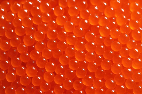 Extremely close view of red caviar, showing great detail and a vibrant orange hue. Good for food, luxury, cuisine or abstract backgrounds.