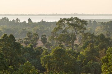Tha Cambodian jungle near Angkor Wat, early evening sunshine with light haze