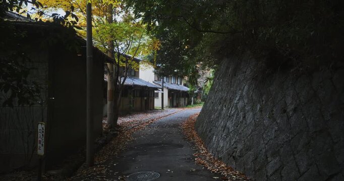 Steady cam shot moving down narrow, empty road under autumn trees in Japanese village