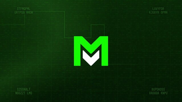 Tech Profile Display Digital Grunge Computer Screen Logo Reveal