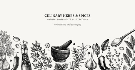 Culinary herbs and spices banner. Kitchen ingredients hand drawn vector illustration. Natural food background in sketched style. NOT AI generated © sketched-graphics