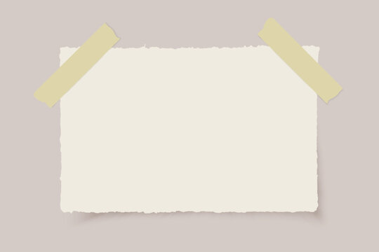 Vector realistic torn paper with shadow and adhesive tape on transparent background.