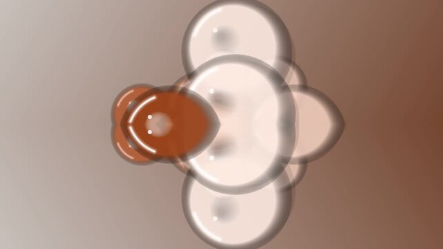 Baby pacifier with brown handle closeup.