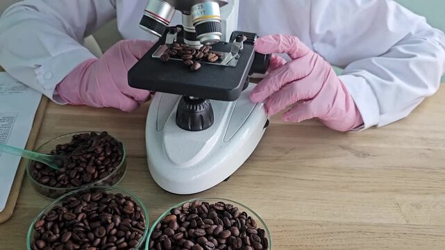 Exploring coffee bean quality through microscope analysis in a lab setting