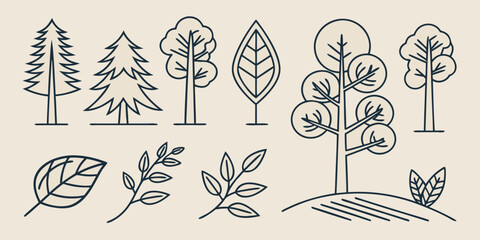 A collection of various trees, plants, and leaves in a simple line art style © Sp