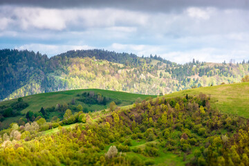Obraz premium rural area in mountain landscape. deciduous forest on a steep green hill. carpathians during spring. alpine countryside scenery in dappled light. remote highland for escape and recreation