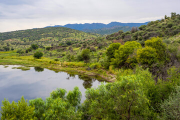 Paysage lacustre en namibie en &eacute;t&eacute; un matin nuageux