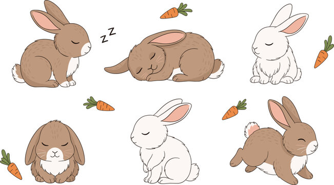 Cute Sleeping Bunny Illustration Set with Calm Rabbit Poses and Carrot Elements for Nursery Designs, Kids Graphics, Easter Art, and Cartoon Characters