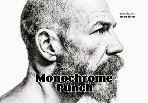 Monochrome Punch Photo Effect