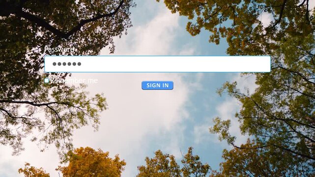 User types a password in a website sign in form box while using a computer. The screen shows the password field and submit button at the top.