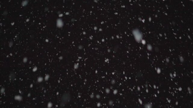 降り積もる雪