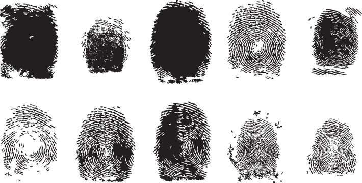 Collection of fingerprint icons for detective work. Ten different thumbprint patterns with detailed ridges. Police identification and criminal record verification set