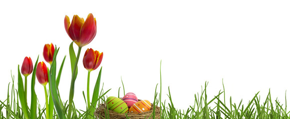 abstract easter grass meadow with easter basket and red tulip flowers isolated on transparent...