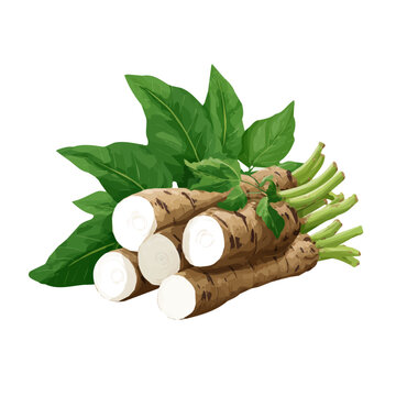 Arrowroot, presented as a modern flat 2D vector icon graphic on a white background