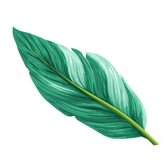 Plantain Leaf, rendered in a minimalist 2D flat vector icon style against a pure white backdrop © Alex