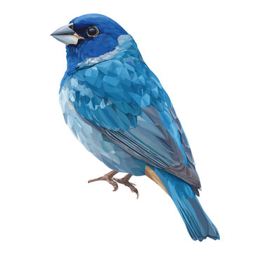Tweedia, 2D flat vector illustration in icon style, isolated on a white background