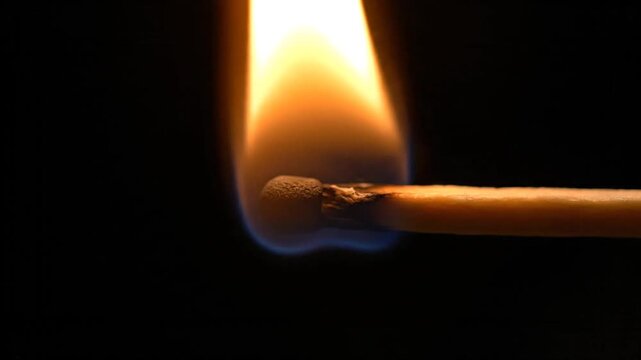 A mesmerizing close-up captures the first eight seconds of a match burning brightly against a black void. The vibrant, tall flame stabilizes quickly, consuming the match head, revealing the chemical 