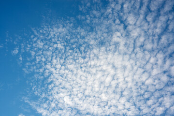 Wide Blue Sky with Flowing Clouds and Open Space