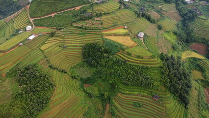 Fototapeta premium DCIM\100MEDIA\DJI_0399.JPG